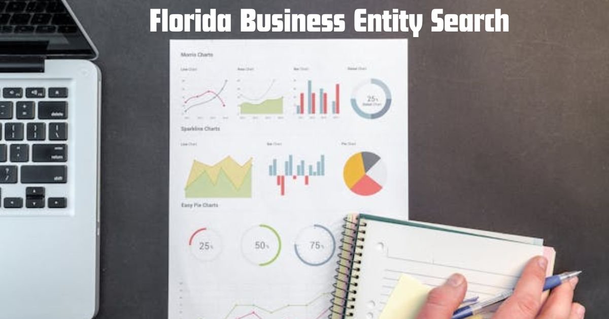 Florida Business Entity Search: 10 Best Key to Business Success